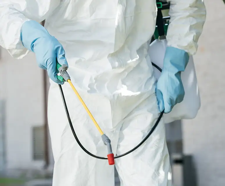 Pest Control Always Responsive Cleaning